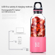 Petit Mixeur Portable Mini Blender Smoothie Milkshake 500ml USB - www.yonis-shop.com