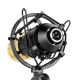 Microphone Professionnel Condensateur Pour Enregistrement Sonore Avec Support Antichoc Pour Studio Radio Diffusion En Direct ...