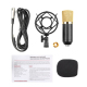 Microphone Professionnel Condensateur Pour Enregistrement Sonore Avec Support Antichoc Pour Studio Radio Diffusion En Direct ...