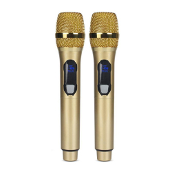 Microphone Sans Fil UHF Rechargeable 2 Micros Portée 50 Mètres Réduction Du Bruit Et Sélection Automatique