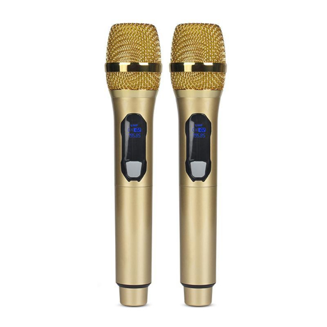 Microphone Sans Fil UHF Rechargeable 2 Micros Portée 50 Mètres Réduction Du Bruit Et Sélection Automatique - www.yonis-shop.com
