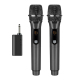 Microphones Sans Fil Rechargeables 2.4 GHz À Main Deux Microphones Portée De 50 Mètres Verrouillage Du Son - www.yonis-shop.com