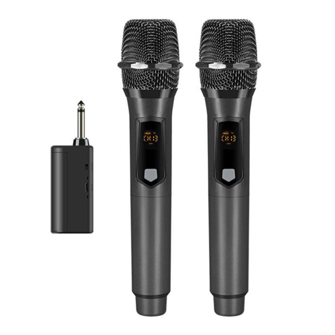 Microphones Sans Fil Rechargeables 2.4 GHz À Main Deux Microphones Portée De 50 Mètres Verrouillage Du Son - www.yonis-shop.com