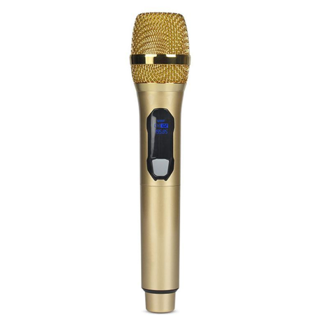 Microphone Sans Fil UHF Rechargeable Avec Récepteur 50 Mètres Réduction De Bruit Et 2 Canaux - www.yonis-shop.com
