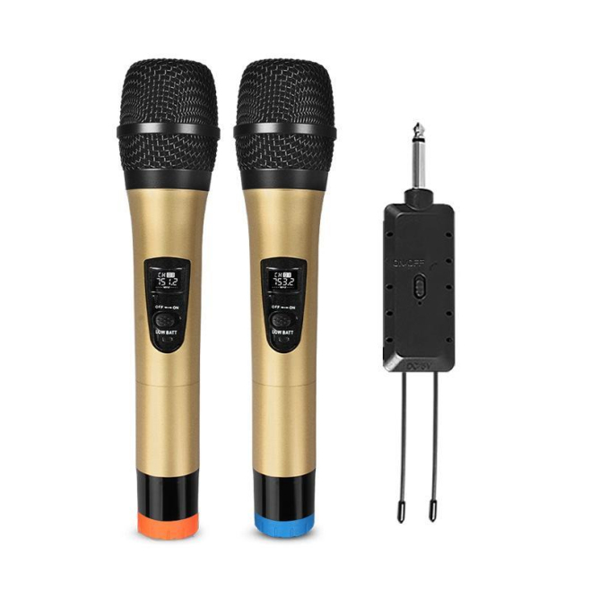 Kit De Deux Microphones Sans Fil VHF À Main Réduction Du Bruit Portée 50 Mètres Récepteur À Batterie Rechargeable - www.yonis...