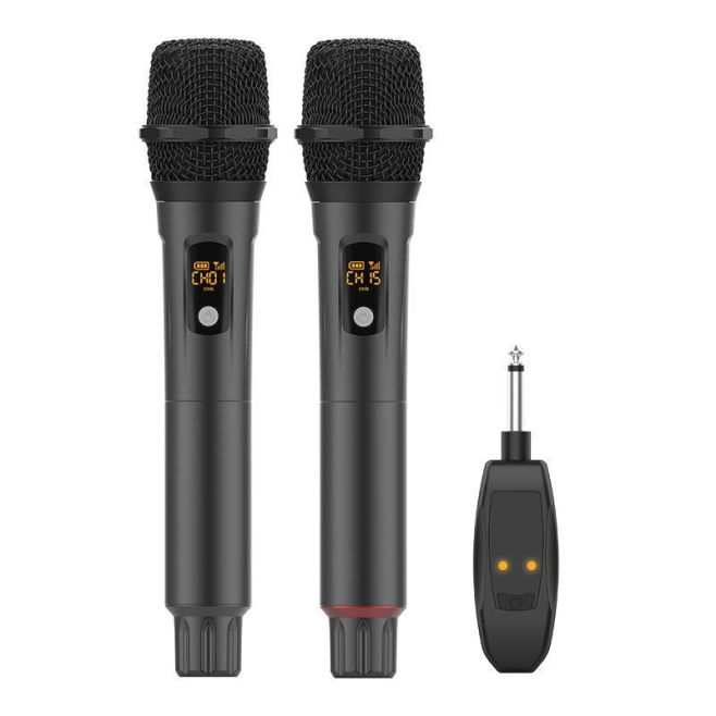 Duo De Microphones Sans Fil À Main 2.4 GHz Avec Récepteur Anti Larsen Portée 30 M - www.yonis-shop.com
