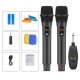 Duo De Microphones Sans Fil À Main 2.4 GHz Avec Récepteur Anti Larsen Portée 30 M - www.yonis-shop.com