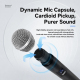 Système De Deux Microphones Sans Fil VHF À Main Avec Contrôle Mute Noise Lock Portée De 50 M Et Double Canal - www.yonis-shop...