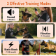 Collier De Dressage Pour Chien Anti Aboiement Avec Télécommande 3 Modes Portée Jusqu’à 1000 Mètres Récepteur Étanche IPX7 Pou...