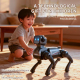 JJR/C R46 AI Intelligent Robot Dog 2.4G Wireless RC(Grey) - www.yonis-shop.com