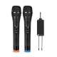 Kit De Deux Microphones Sans Fil VHF À Main Réduction Du Bruit Portée 50 Mètres Récepteur À Batterie Rechargeable - www.yonis...