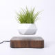 Pot de Fleur en Lévitation Magnétique Décoratif Plante Socle Bois Design Diamant Blanc - www.yonis-shop.com