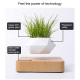 Pot de Fleur en Lévitation Magnétique Décoratif Plante Socle Bois Design Diamant Blanc - www.yonis-shop.com