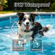 Collier Anti Aboiement Pour Chien Avec Reconnaissance IA 4 Modes De Dressage IPX7 Automatique Sans Télécommande - www.yonis-s...