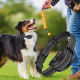 Collier De Dressage Pour Chien Anti Aboiement Automatique Noir - www.yonis-shop.com