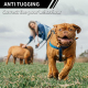 Collier De Dressage Pour Chien Avec Détection Automatique De Traction Portée 1000 Mètres Étanchéité IP67 Et Recharge USB-C - ...
