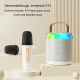 Microphone Bluetooth Portable Étanche Haute Qualité Sonore Karaoke Extérieur Longue Autonomie - www.yonis-shop.com