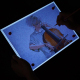 Tablette Lumineuse LED A4 Dimmable Ultra Fine Avec Fixation Magnétique Et Câble USB - www.yonis-shop.com
