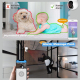 Camera IP 5MP QHD WiFi 5G Vision Nocturne Couleur Détection Mouvement Audio Bidirectionnel Carte TF Jusqu'à 128GB - www.yonis...