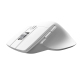 W&P M-WB2 Wireless Ergonomic Mouse Tri-Mode Bluetooth & 2.4G Silent Computer Mouse - www.yonis-shop.com
