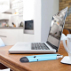 Souris Sans Fil 6 Boutons Avec Stylet Et Fonction Laser - www.yonis-shop.com