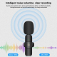 Microphone Sans Fil Réduction De Bruit Pour Téléphone Type-C Avec Récepteur Et Double Microphones - www.yonis-shop.com