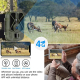 Caméra De Chasse 4K 36MP Vision Nocturne 4G Contrôle À Distance Stockage 256GB Étanche IP66 - www.yonis-shop.com