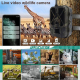 Caméra De Chasse 4K 36MP Vision Nocturne 4G Contrôle À Distance Stockage 256GB Étanche IP66 - www.yonis-shop.com