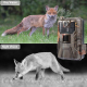 Caméra De Chasse 36MP 4K Avec Vision Nocturne Et Contrôle À Distance Via Application - www.yonis-shop.com