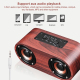 Enceinte Bluetooth Bois Haut-Parleur Double Cornes Qualité Sonore 3W Puissance Ajustement Volume Batterie Longue Durée Micro ...