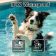 Collier Anti Aboiement Pour Chien À Détection Intelligente 3 Modes Étanche IPX7 Autonomie 20 À 45 Jours - www.yonis-shop.com