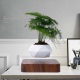 Pot de Fleur en Lévitation Magnétique Décoratif Plante Socle Bois Design Diamant Blanc - www.yonis-shop.com