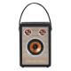 Enceinte Bluetooth Portable 8W Bois et Cuir Luxe Autonomie 6h Métal Brossé - www.yonis-shop.com