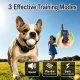 PaiPaitek PD520S Remote Controll Anti Barking Pet Dog Training Collar, Model:Two Receivers(Black) - www.yonis-shop.com