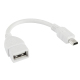 C&acirc;ble adaptateur USB femelle vers Mini USB m&acirc;le blanc pour tablette tactile et appareil photo - Yonis Y-ccusbmusb