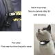 Caméscope Numérique Portable HD Avec Collier Silicone Pour Animaux Et Écran IPS Haute Définition - www.yonis-shop.com