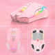 Souris Sans Fil RGB Ergonomique 10M 3600 DPI Compatible Windows - www.yonis-shop.com
