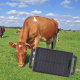 Traceur GPS 4G Pour Bovins Et Ovins Recharge Solaire Clôture Électronique Étanchéité IP67 - www.yonis-shop.com