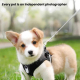 Caméra Sport Pour Animaux De Compagnie Vision Nocturne HD Avec Collier Et Enregistrement En Boucle - www.yonis-shop.com