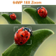 Caméscope Numérique 6K Ultra HD Avec Zoom Numérique 18X et Écran Tactile 4 Pouces Pour Vidéo et Photo Haute Définition - www....
