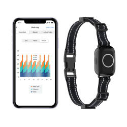 Collier Anti-Aboiement Pour Chien Avec Application Mobile Détection Intelligente IPX7 Vibration Et Impulsion Électrostatique