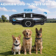 Collier Anti-Aboiement Pour Chien Avec Application Mobile Détection Intelligente IPX7 Vibration Et Impulsion Électrostatique ...