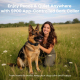 Collier Anti-Aboiement Pour Chien Avec Application Mobile Détection Intelligente IPX7 Vibration Et Impulsion Électrostatique ...