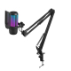 Microphone Condensateur Cardioïde À Réduction De Bruit Avec Éclairage RGB USB Type C Et Support Articulé - www.yonis-shop.com