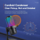 Microphone Condensateur Cardioïde À Réduction De Bruit Avec Éclairage RGB USB Type C Et Support Articulé - www.yonis-shop.com