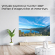 Vidéoprojecteur Portable Full HD 1080P 6000 Lumens Son Dolby Audio Connectivité Wi-Fi Double Bande Support Netflix YouTube Pr...