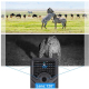 Caméra De Chasse Infrarouge 12MP 1080P HD Grand Angle 120 Degrés Étanche IP56 Avec Micro SD - www.yonis-shop.com