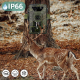 Caméra De Chasse 8K Ultra-Claire Avec Vision Nocturne Et Détection Ultra-Rapide Pour Des Images Époustouflantes - www.yonis-s...