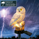 Lampe Solaire LED En Forme De Hibou Pour Jardin Et Pelouse IP65 En Résine Avec Allumage Automatique La Nuit - www.yonis-shop.com