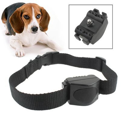 Collier anti-aboiement pour chien Collier anti-aboiement pour chien